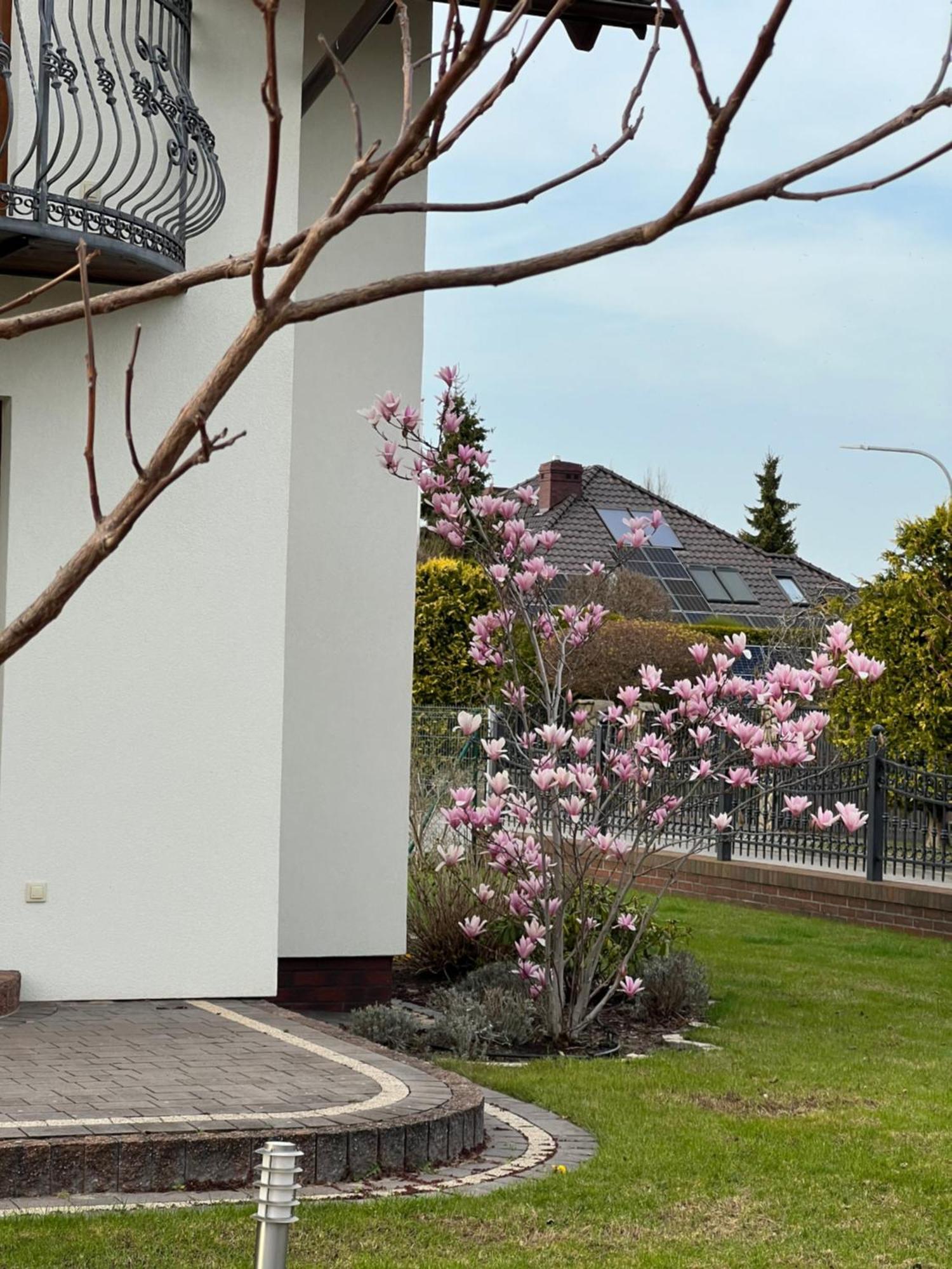 Apartamenty Bursztynowe デンプキ エクステリア 写真